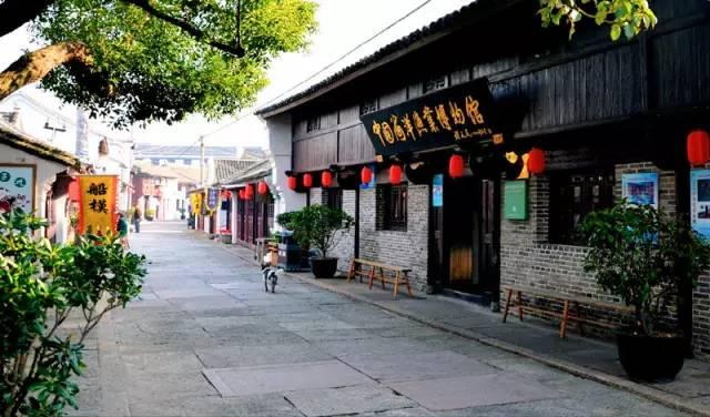 深入探索英语Never stand still怎么翻译？，加入知识星球平台获取专业知识分享